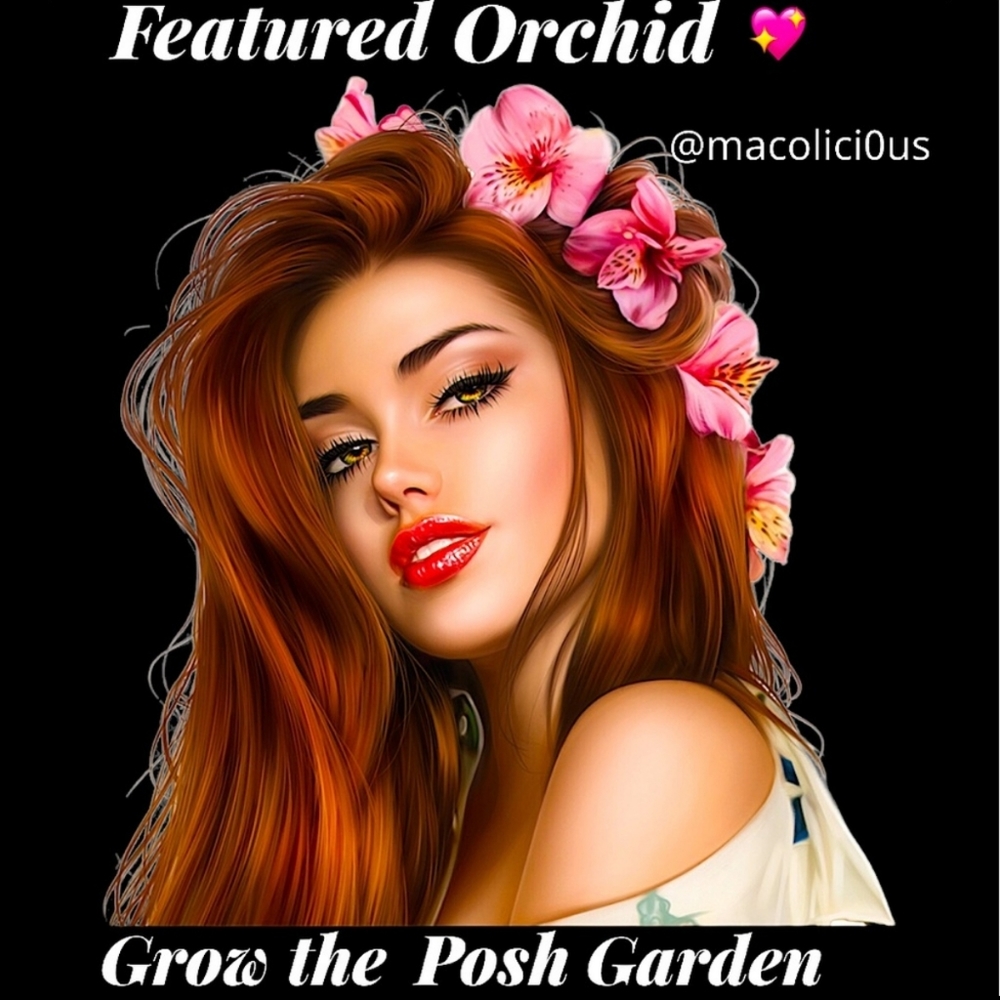 I'm featured 12/10/22host @macolici0us thank you!